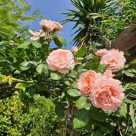 Cote Mer, Provence Style, Near St Tropez Villa *