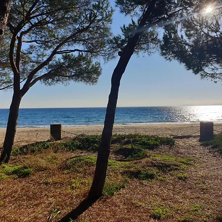 Cote Mer, Provence Style, Near St Tropez * La Croix-Valmer